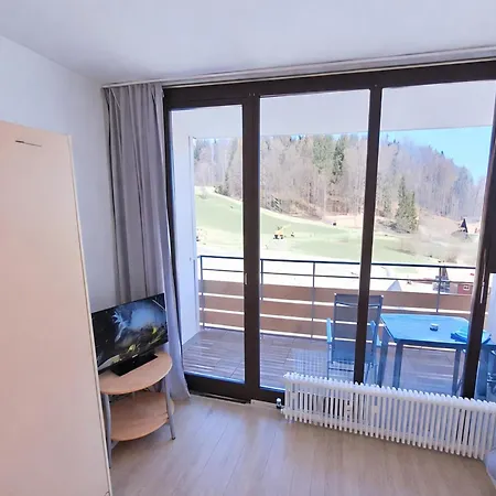 Bernhard Mit Pool Und Sauna アパート フライウング